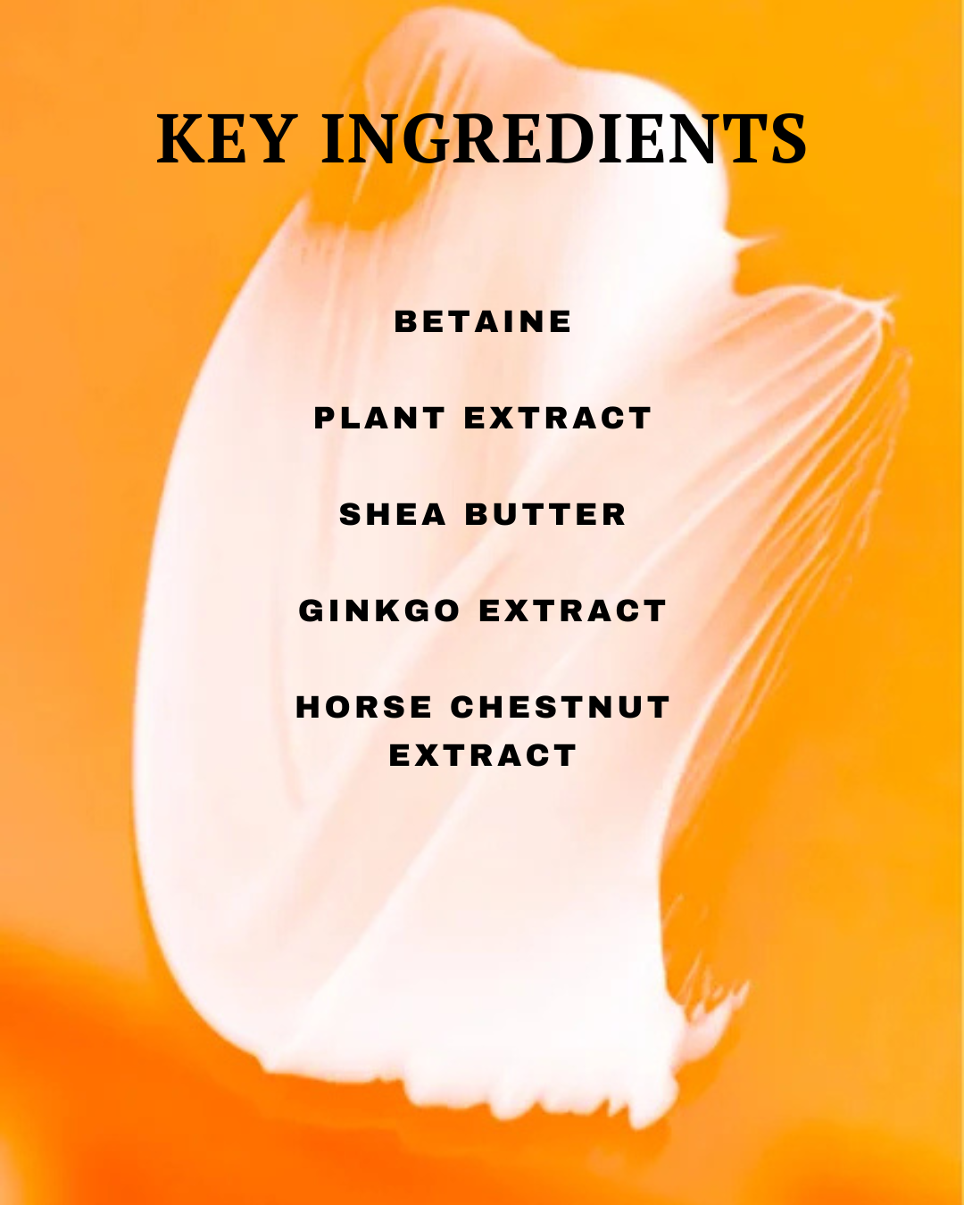 List of key ingredients on a product with an orange background