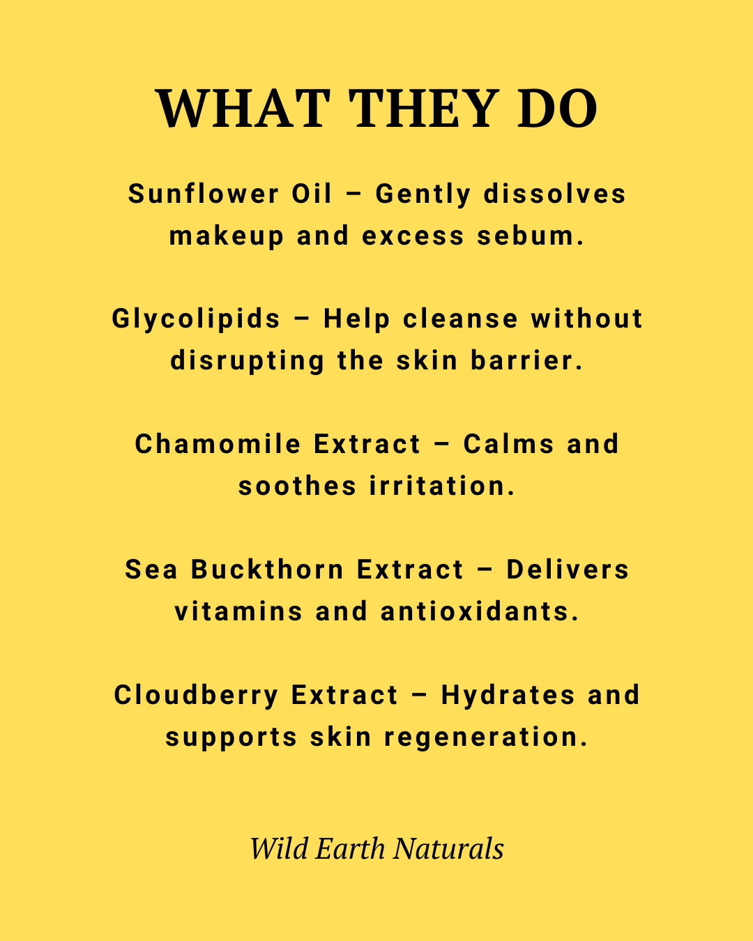 List of skincare ingredients with their functions on a yellow background, featuring Wild Earth Naturals branding.