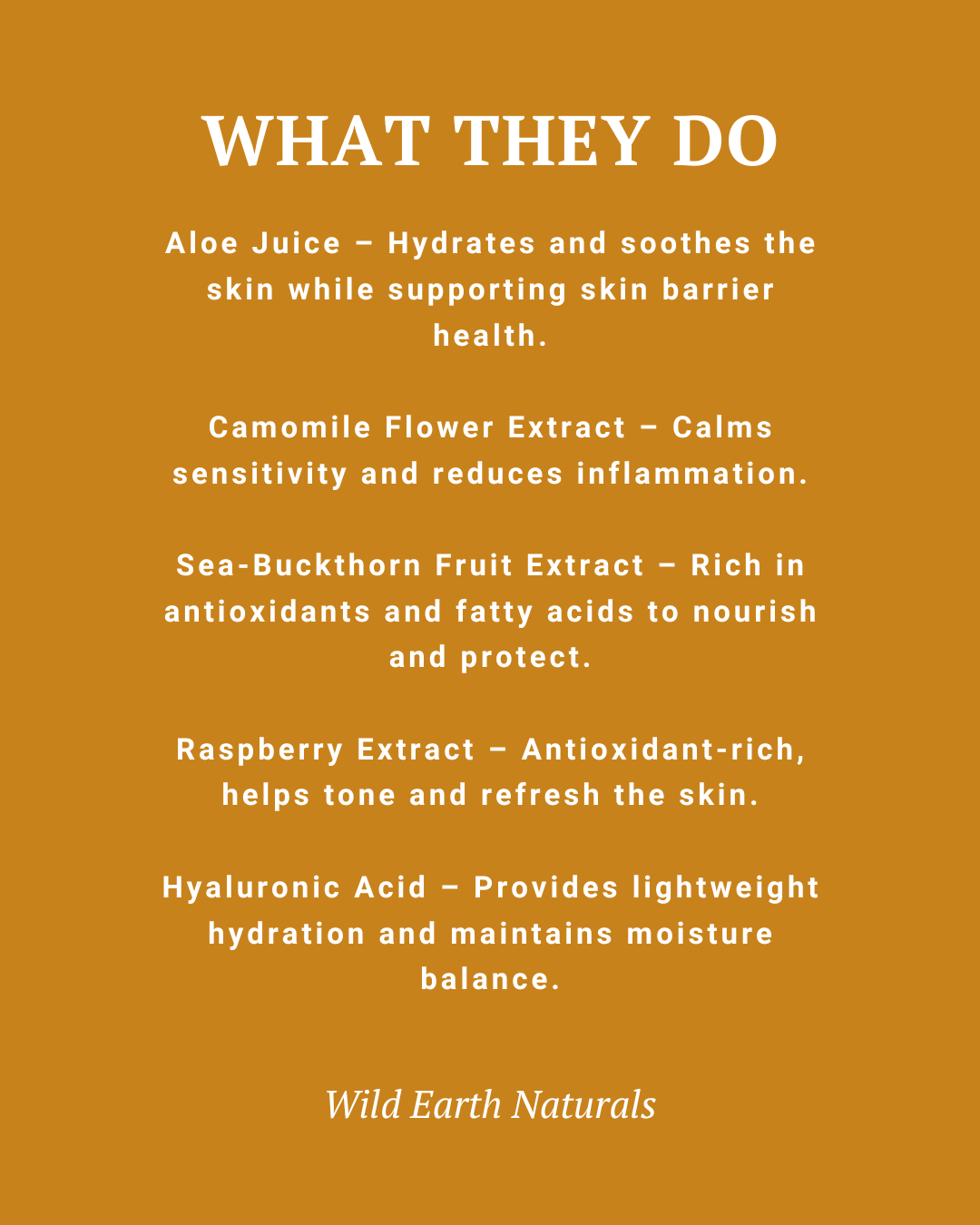 List of skin care ingredients with their benefits on a mustard yellow background, featuring the brand 'Wild Earth Naturals'.