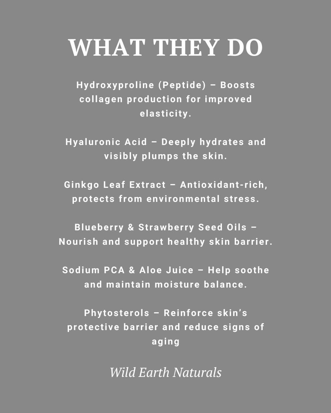 List of ingredients and their benefits on a gray background with Wild Earth Naturals branding.