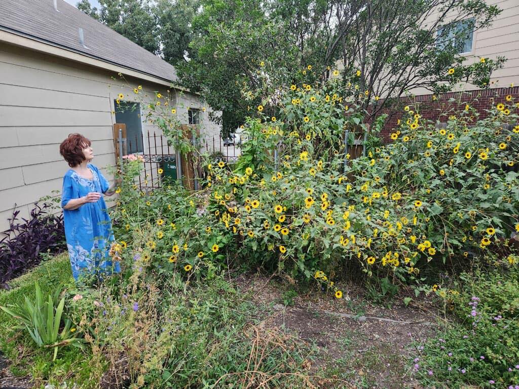 Wild Earth Natural Skincare