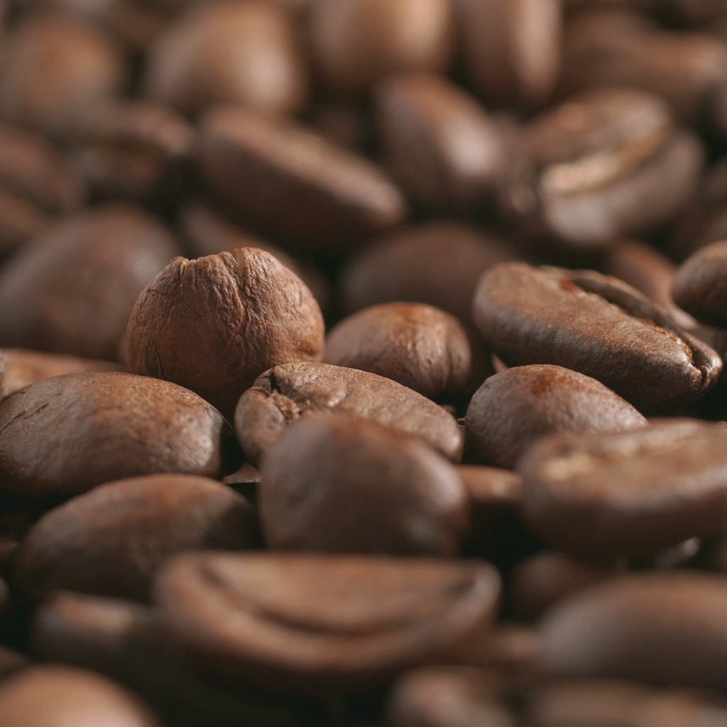 Closeup of coffee beans