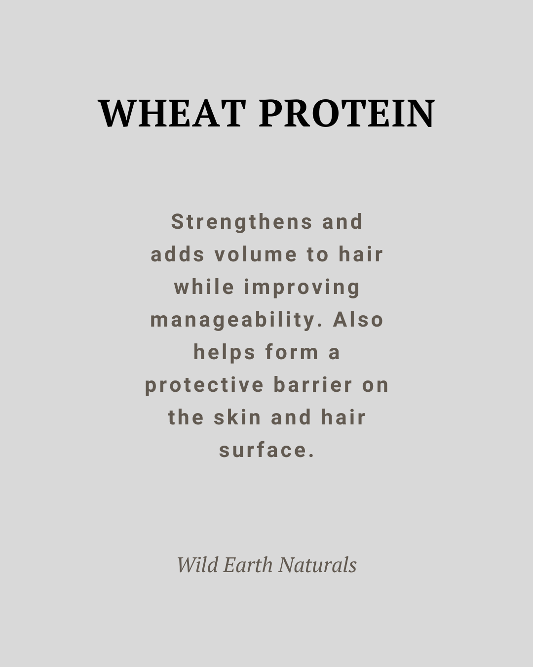 Text about wheat protein's benefits on a gray background, attributed to Wild Earth Naturals.